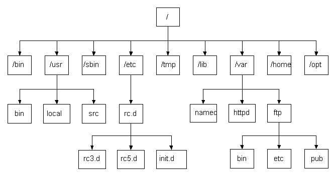 Linux目录结构及详细介绍